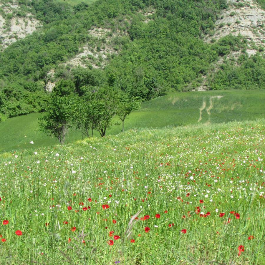 Villa Cavagnetti Pietralunga  Esterno foto